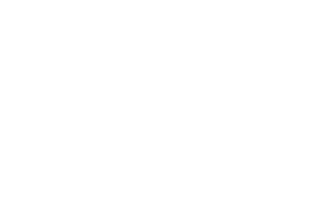 D&B Hoover Logo